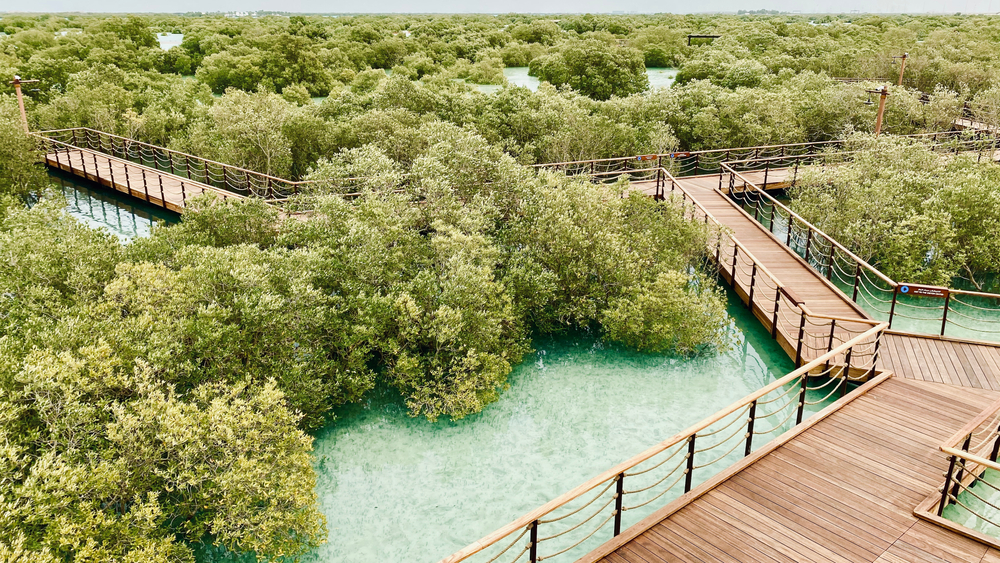 Eastern Mangrove Lagoon National Park